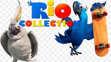 Blu Rio De Janeiro Character Model Sheet, PNG, 1000x562px, Blu ...