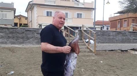Cilento Pesca A Mani Nude Un Totano Gigante Che Si Era Avvicinato Alla Spiaggia Corriere It