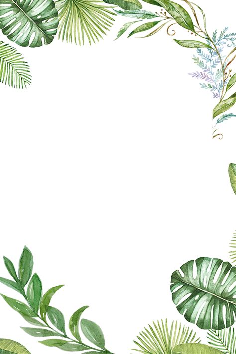 Plants Tropical Jungle Leaves Border Frame Ftestickers Tropical