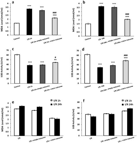 The Effect Of Crocin Loaded Nanoniosomes On A H After I R Induced