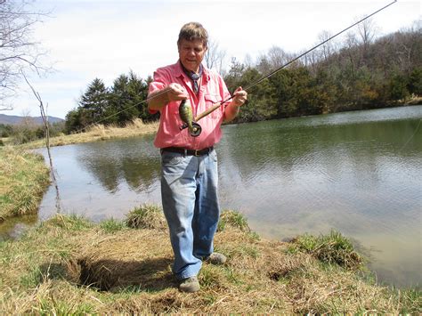 Fly Fishing for Panfish | Virginia DWR