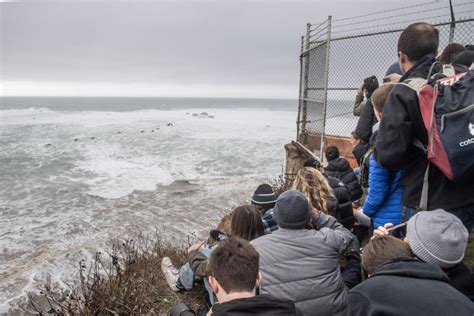 More Massive Waves Predicted For California Coast During Weekend