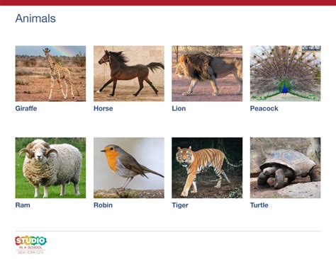 collaborative mural animals  habitats studio   school