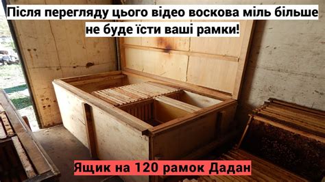 Як зберігати рамки з сотами! Воскова міль більше не буде їсти ваші ...