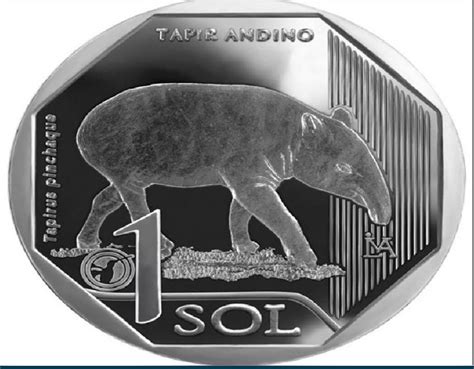 BCR emite nueva moneda de S 1 alusiva al Tapir Andino Cutivalú Piura