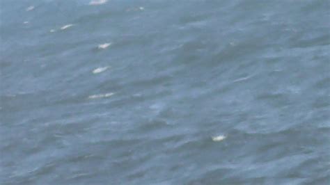 Bikini Beach Girls Videos Vol