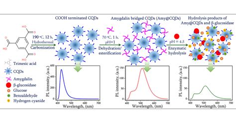 Amygdalin Functionalized Carbon Quantum Dots For Probing β Glucosidase