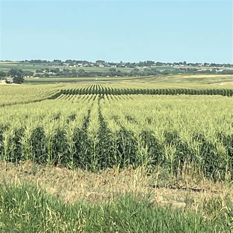 East 16 Farms | Johnstown CO