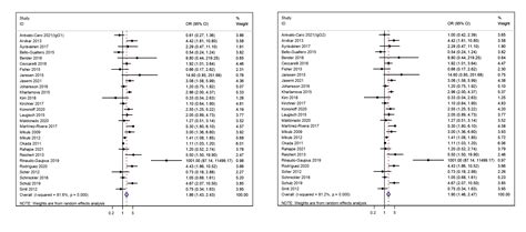 The Relationship Between Porphyromonas Gingivalis And Rheumatoid