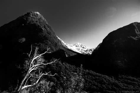 Fondos De Pantalla Nueva Zelanda Blanco Y Negro Bw Monocromo