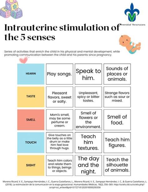 Intrauterine Stimulation Of The Senses Yenzuni Abigail Castillo