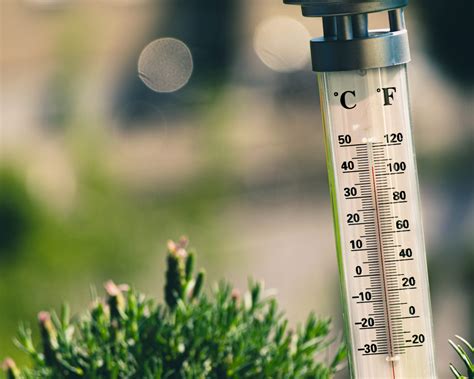 🌡️Рейтинг лучших уличных термометров на 2025 год