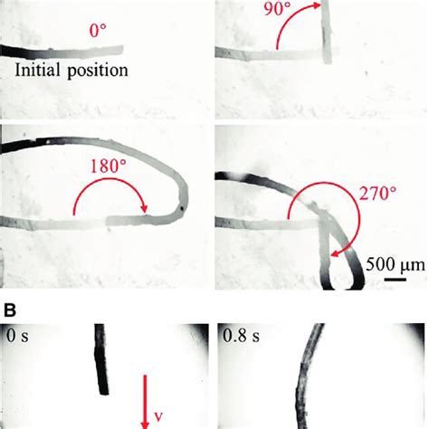 The Deflection And Motion Of The Soft Continuum Microrobot A