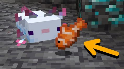 Minecraft How To Tame Axolotl Ultimate Guide