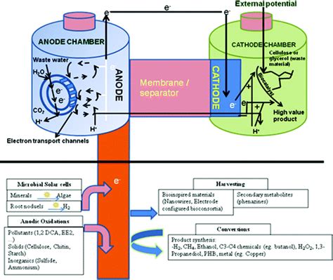 Bioelectrochemical Systems BES For Sustainable Energy Production