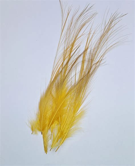 Gold Heron Hackle Feathers 2 Feathers Frodin