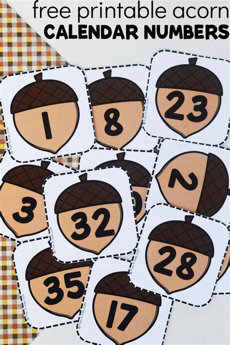 Acorn Calendar Numbers Free Printable Calendar Numbers Math