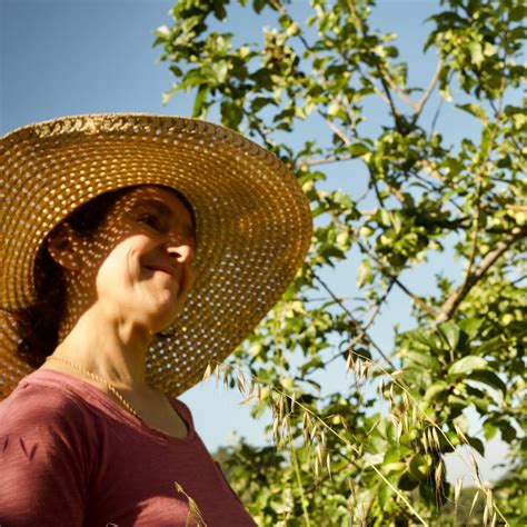 Curso De Agricultura Regenerativa Agrinemus