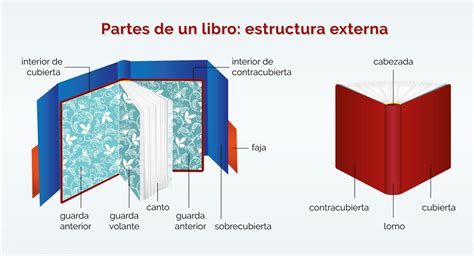 Las Partes De Un Libro Y Su Terminología Básica Diseñoeditorial Libros