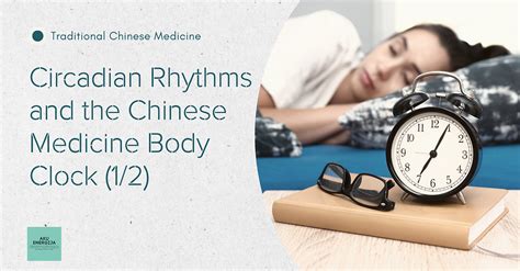 Circadian Rhythms And The Chinese Medicine Body Clock