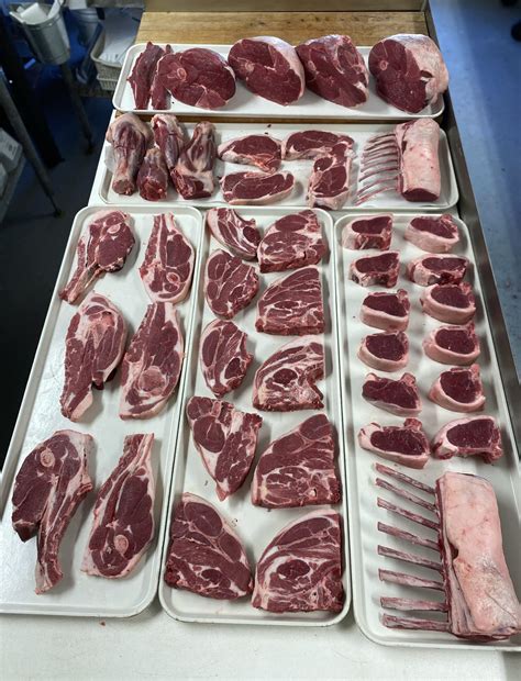 wilkes deer processing 4