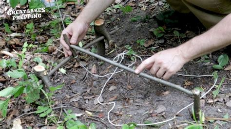 Simplest Diy Spring Snare Trap Bushcraft Small Game Trap Youtube