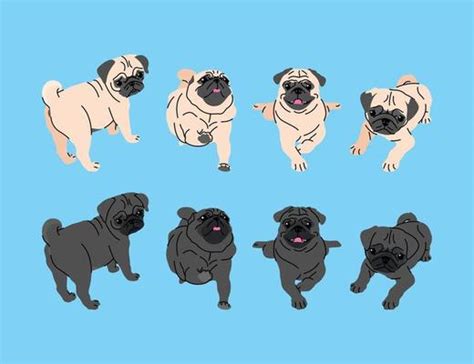 Pug Vector Art, Icons, and Graphics for Free Download