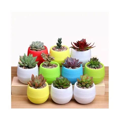 Jual Pot Mini Pot Kecil Pot Sukulen Pot Kaktus Pot Bunga Bulat