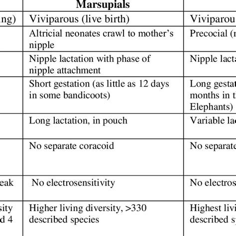 Monotremes Evolution And Classification