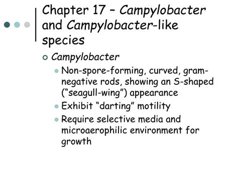 Ppt Chapter Vibrio Aeromonas Plesiomonas Campylobacter