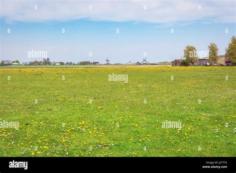 Typical Dutch Polder Landscape With Mills Stock Photo Alamy