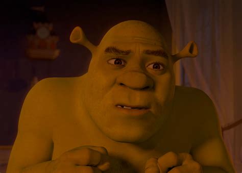 Shrek is confused by Nickson2345 on DeviantArt