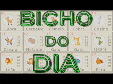 Palpite Jogo Do Bicho Dia 08 09 2019 YouTube