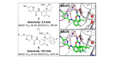 Structure Based Approaches To Improving Selectivity Through Utilizing