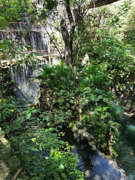 Xcaret eco park stock image. Image of lagoon, carmen - 103313471