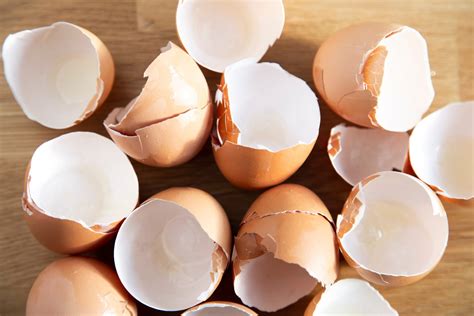 Ways To Use Eggshells In The Garden Birds And Blooms