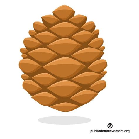 Pine Cone Vector At Vectorified Collection Of Pine Cone Vector