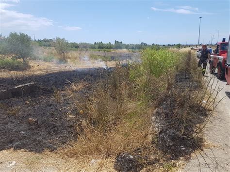 Emergenza Incendi In Calabria Due Piromani In Manette Video Quicosenza