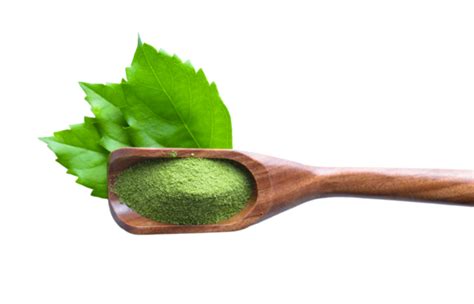 Scoop Of Matcha Powder On A Crisp Matcha Natural Background PNG