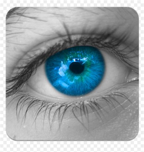 Multi Colored Eyes, HD Png Download - vhv