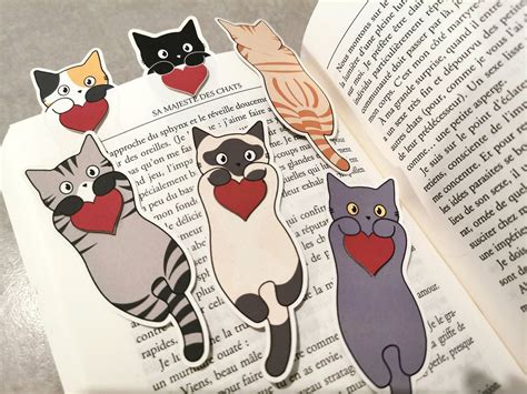 Картинки картон кэт - 77 фото