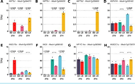 Figure 1 From The Transcriptomic Response To A Short Day To Long Day