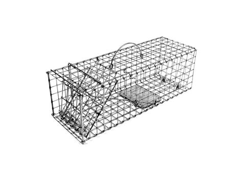 Tomahawk Model 202 Collapsible Trap w One Trap Door for Squirrels, Rats ...