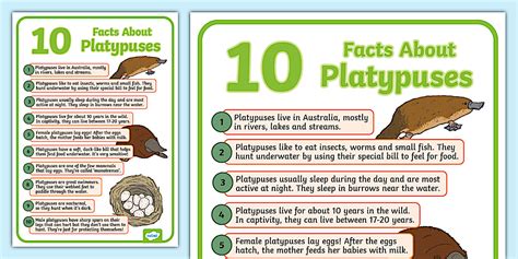 facts  platypuses display poster teacher