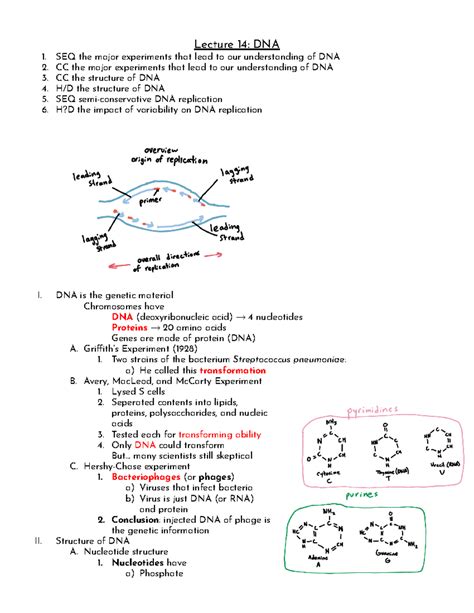 Biology Chapter 14 - DNA - Lecture 14: DNA SEQ the major experiments