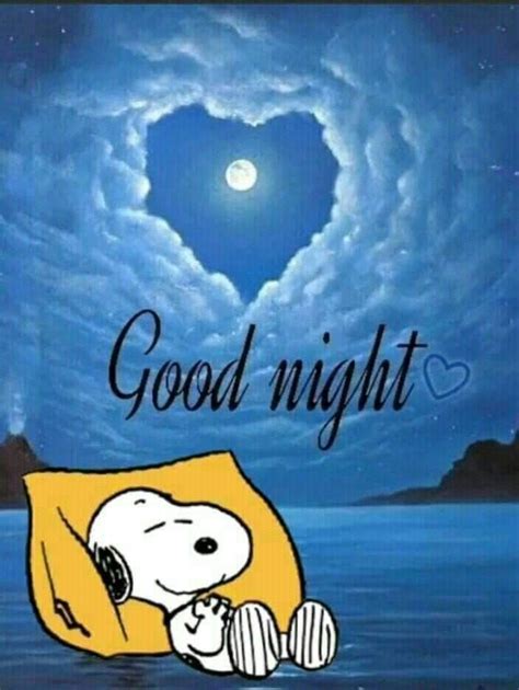 Good Night Funny Good Night Everyone Good Night Friends Good Night  Good Night Wishes