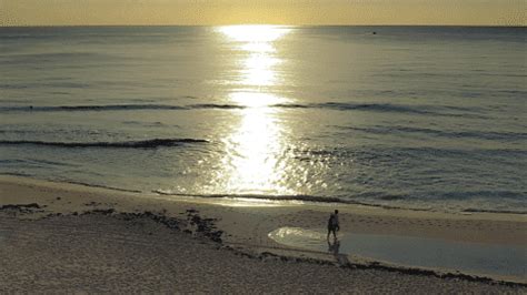 Temperatura del agua en Cancún cuál es el mejor mes para bañarse