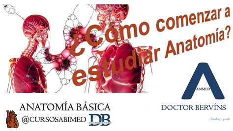 Cómo comenzar a estudiar Anatomía l Webinar con Dr Bervíns YouTube