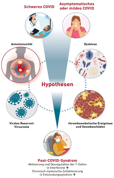 357 Labordiagnostischer Ansatz Beim Post COVID Syndrom IMD Institut