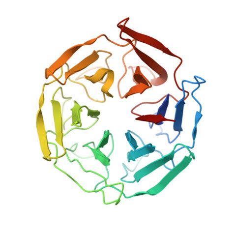 Rcsb Pdb Cia Crystal Structure Of The Kelch Domain Of Human Klhl